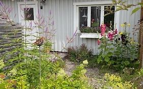 Hatty'S Guesthouse
